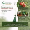 Овощни дръвчета нектарини ‘Venus’