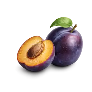 Овощни дръвчета Сливи