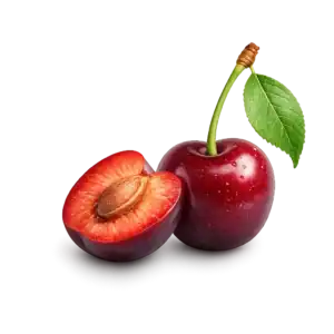 Овощни дръвчета Вишна